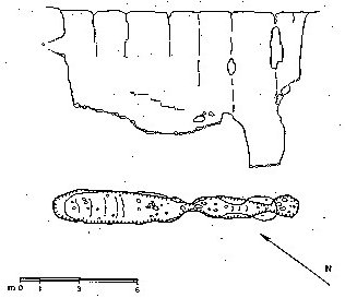 Fessura
