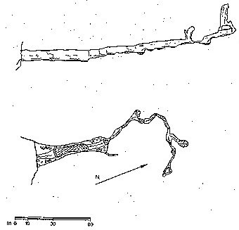 risorgiva