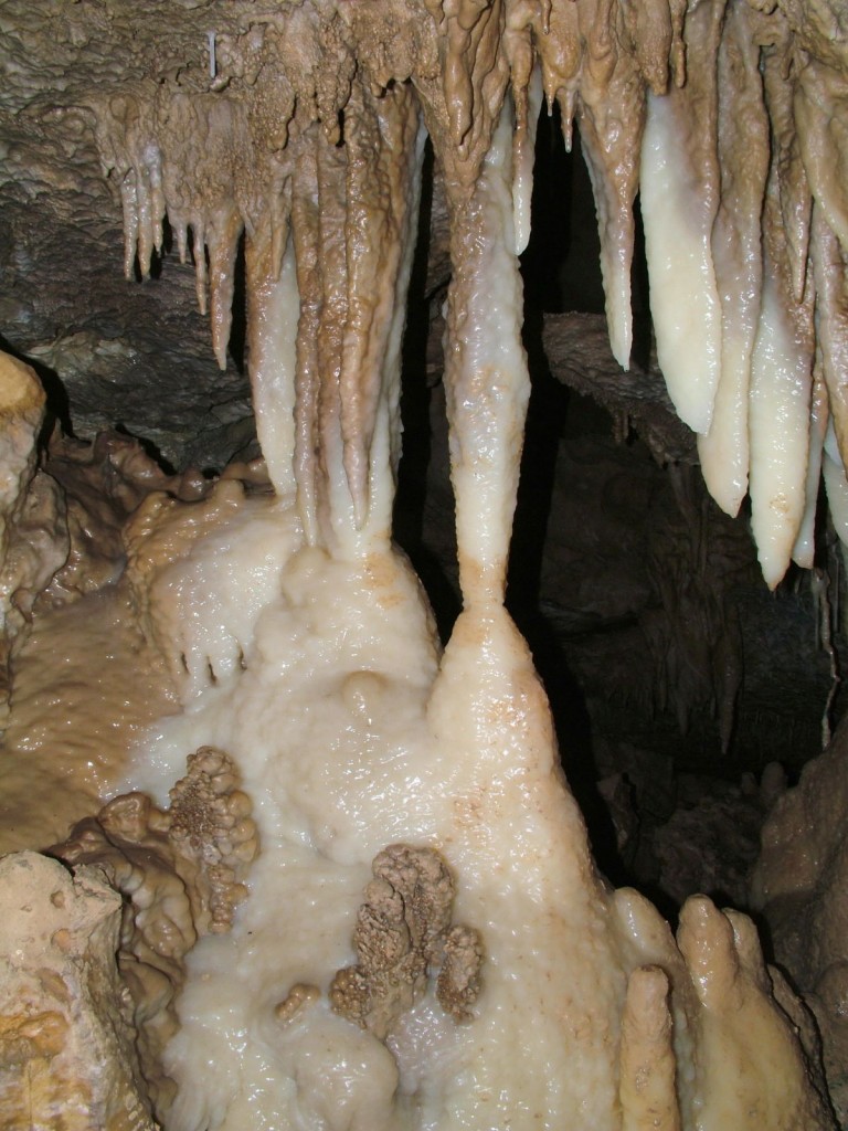 Stalattiti, stalagmiti e colonne nella Grotta G.V. Schiaparelli