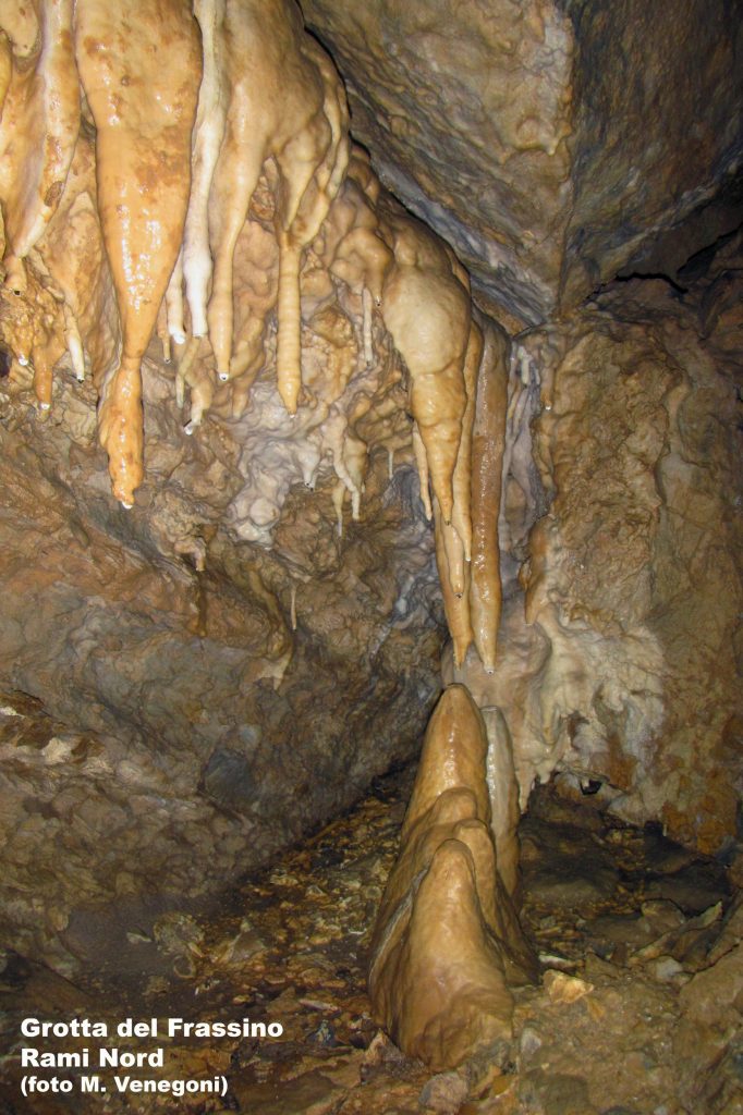 Stalattiti e stalagmiti nella Grotta del Frassino